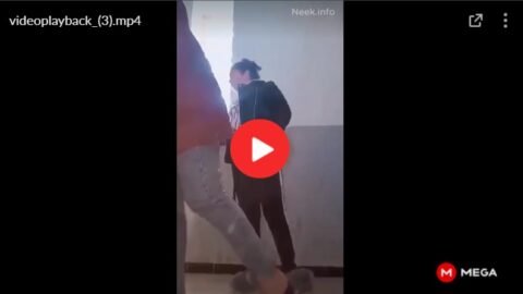 شرموطة جزائرية في المدرسة مع صديقها ينيكها من طيزها سكس عربي sex hot arab porn